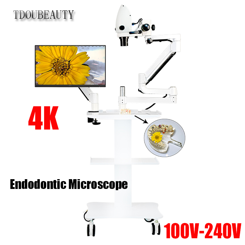 Teeth Whitening Video - Microscope électronique dentaire 4K, 20 millions